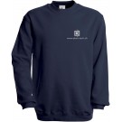 color:navy